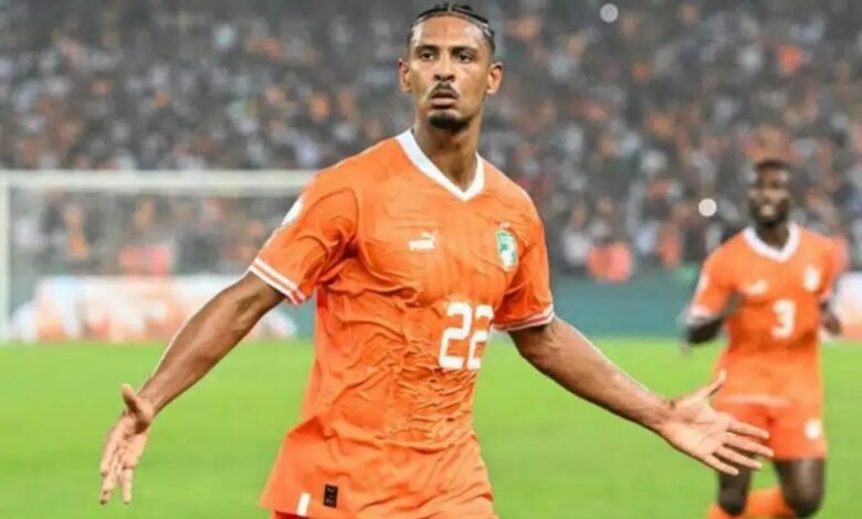 هالر